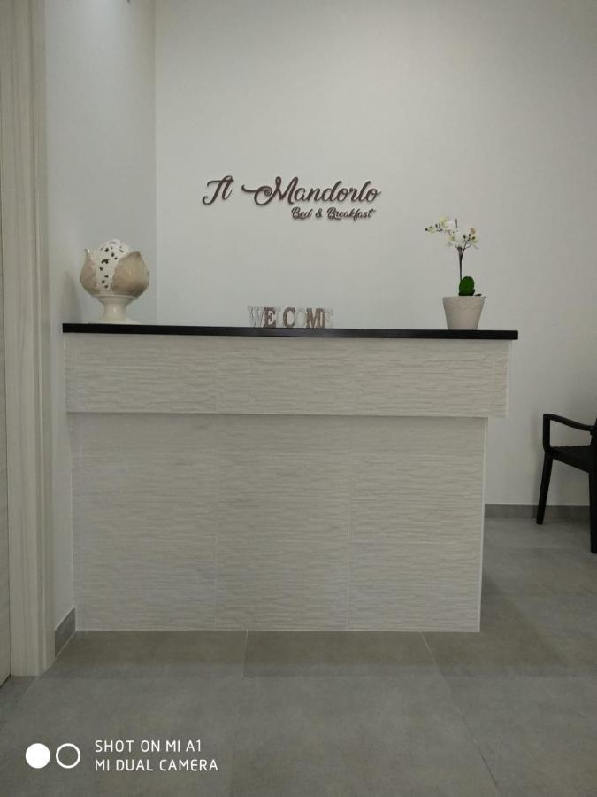 B&B Il Mandorlo Полиняно а Маре Екстериор снимка